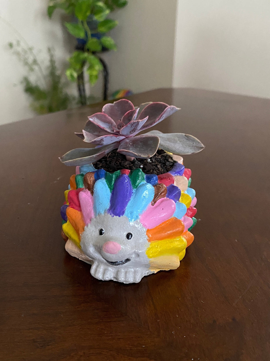 Hedgehog planter flower succulent pot - DIY best gifts, craft ideas for home, office decoration, living room ornament, small garden ideas.