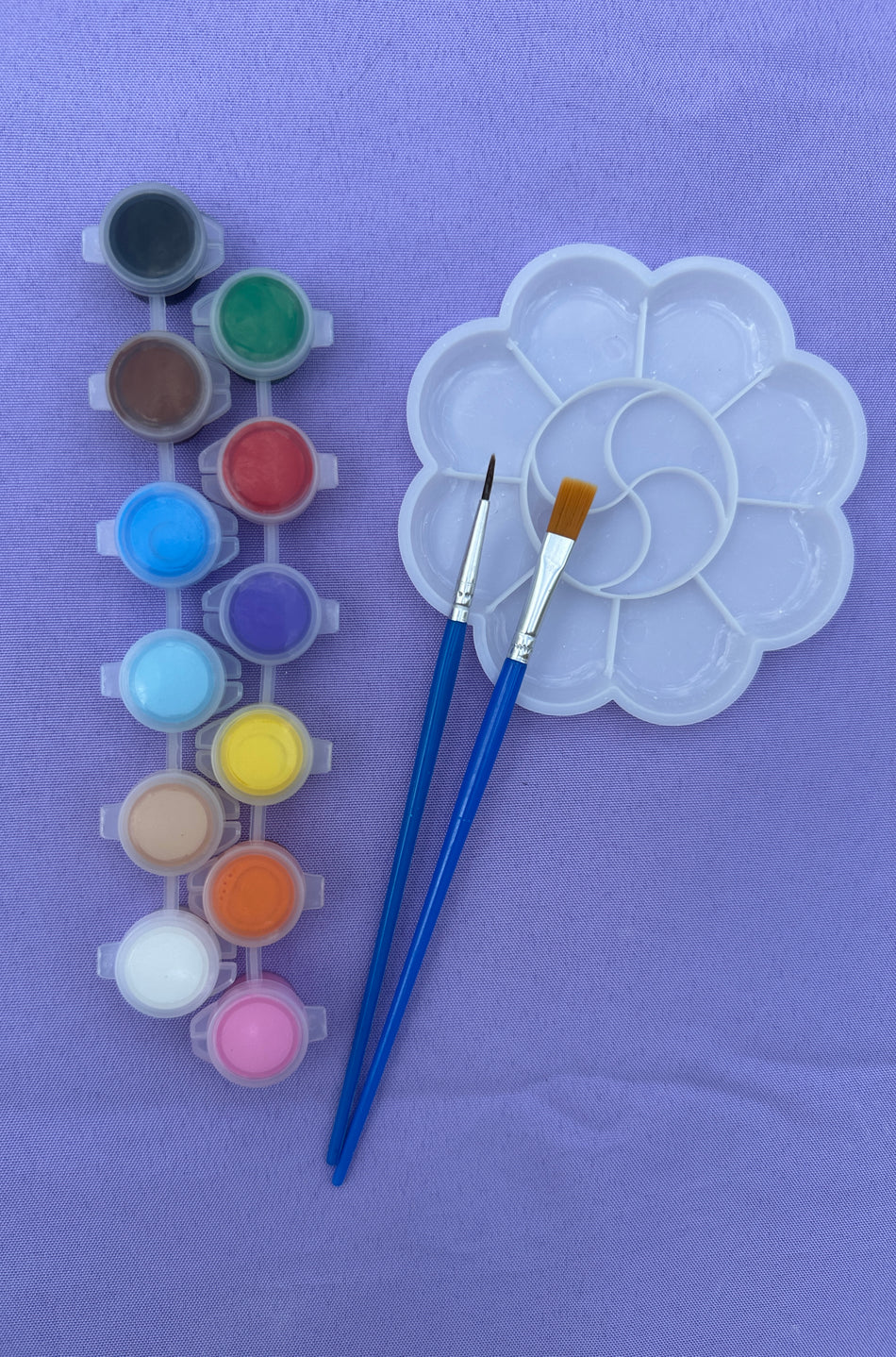 Washable acrylic paint & brushes set for DIY craft painting projects, non-toxic Acrylic Paint pots with flat paint brush and detail brush.